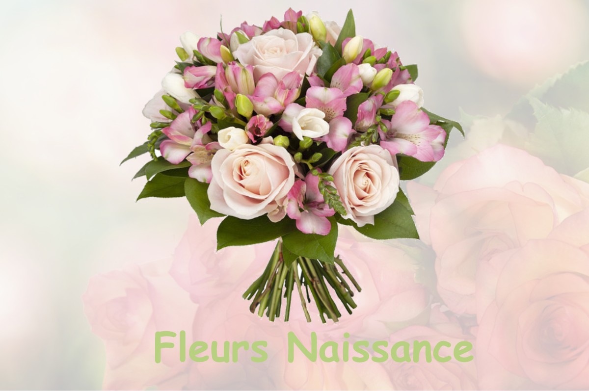 fleurs naissance COULOMMES-LA-MONTAGNE